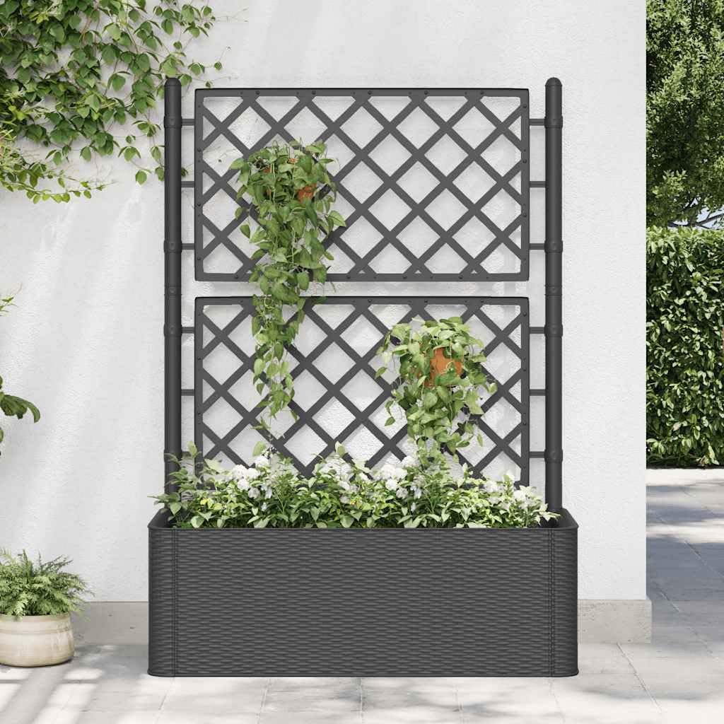 vidaXL Garden Raised Bed Plant Container with Built-in Trellis and Self-Watering System - Weather-Resistant Plastic Structure - Rattan-Like Design - Versatile for Indoor and Outdoor Use - Anthraci...