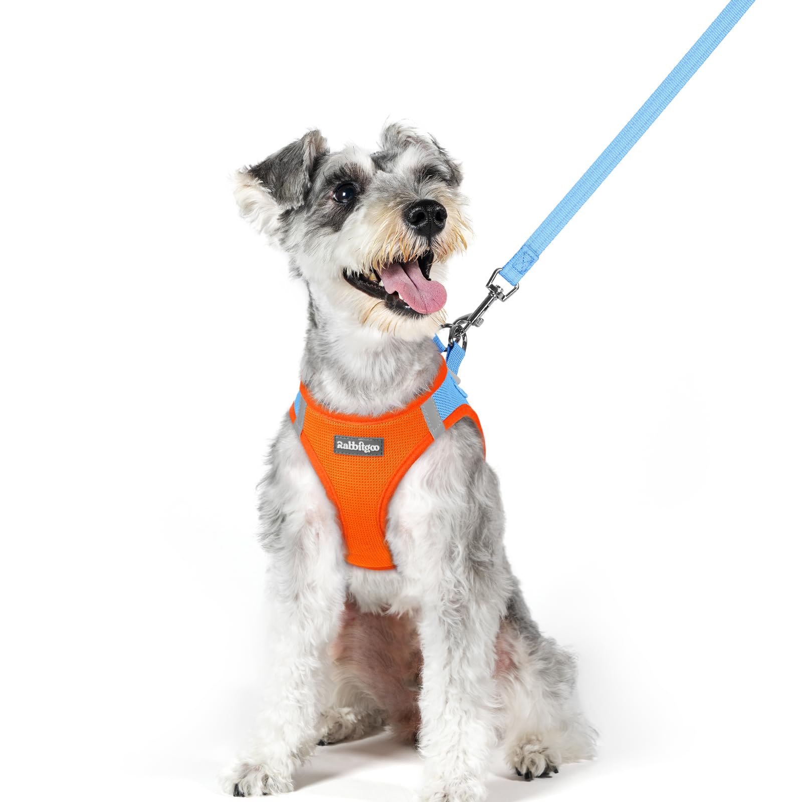 rabbitgoo Dog Harness Medium Sized and Leash Set, Step-in Puppy Pet Vest
