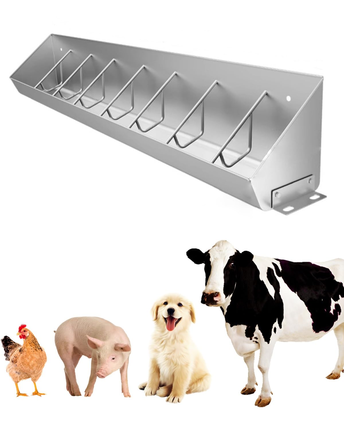Abreuvoir pour animaux d'élevage multi-trous à grande capacité pour la ferme