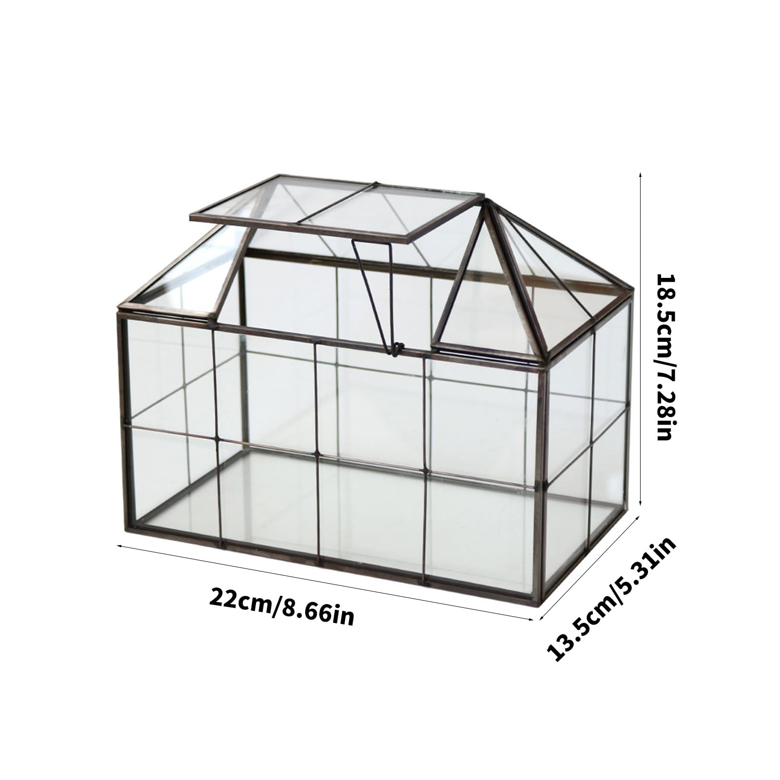 Decoración de terrario para alféizar de Ventana, Caja de exhibición de Vidrio Transparente con Techo con bisagras para diseños de Plantas, colocación de Escritorio y Uso de visualización de Anfibios,