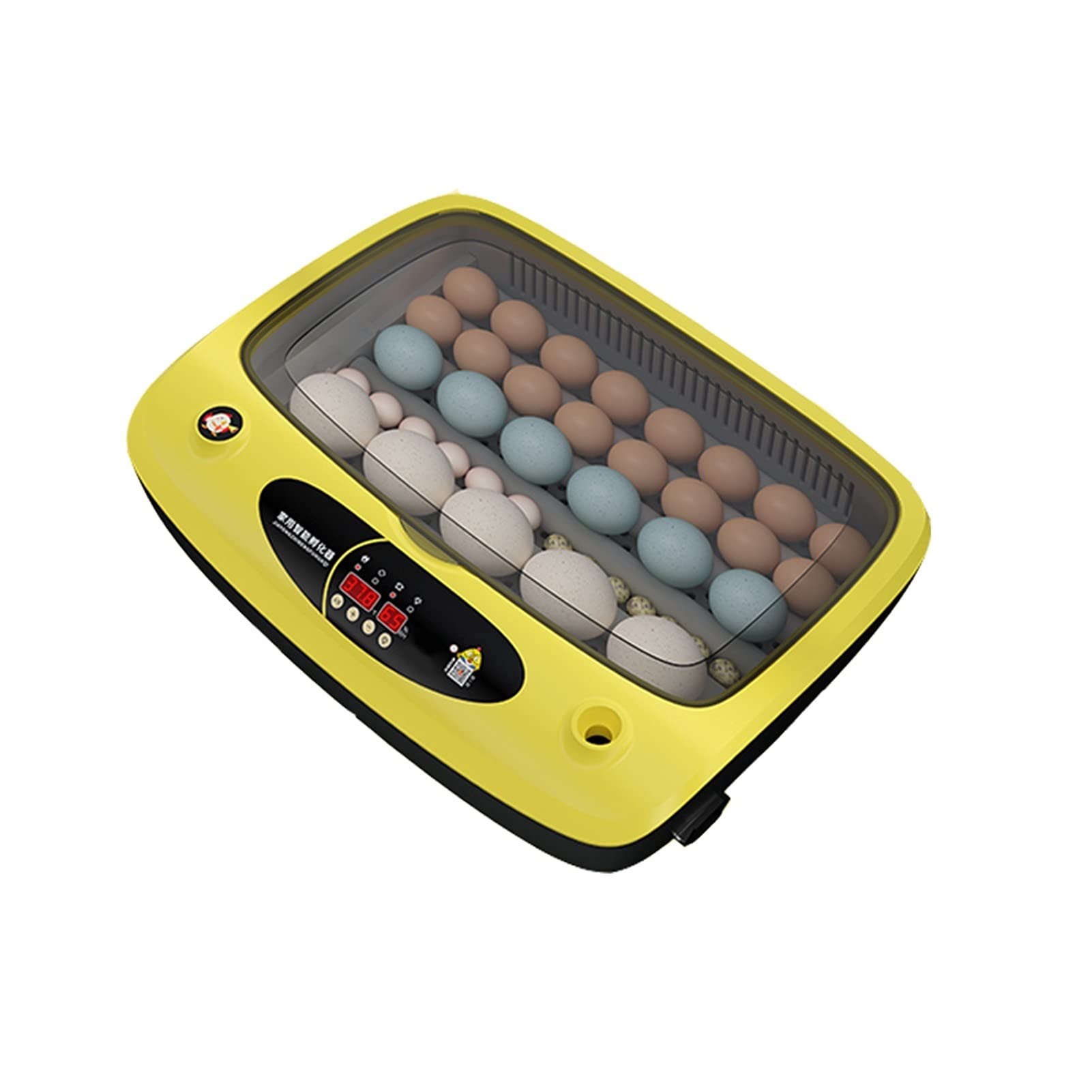 Buy LYSGST Egg Incubator Incubators for Hatching Eggs 2436 Eggs