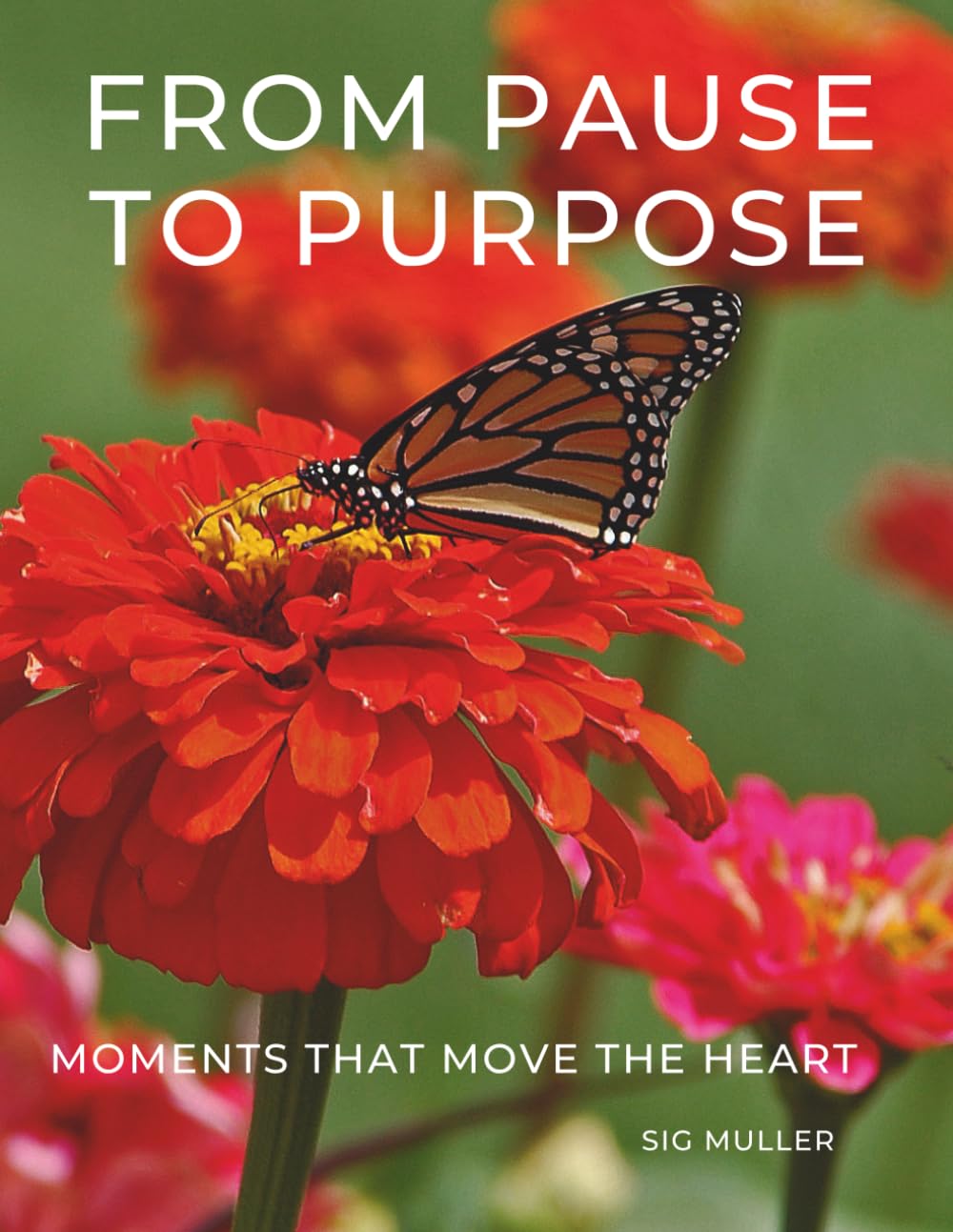 From Pause To Purpose: Moments That Move The Heart