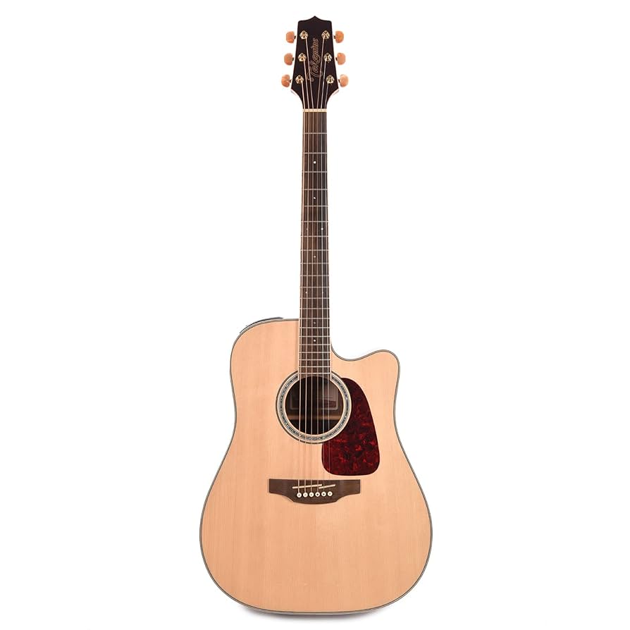 takamine エレキギター Amazon | Takamine タカミネ G Series GN71CE NEX Cutaway
