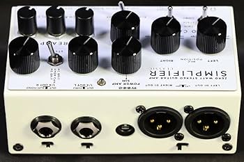 Amazon | DSM & HUMBOLDT ELECTRONICS/SIMPLIFIER GUITAR AMP