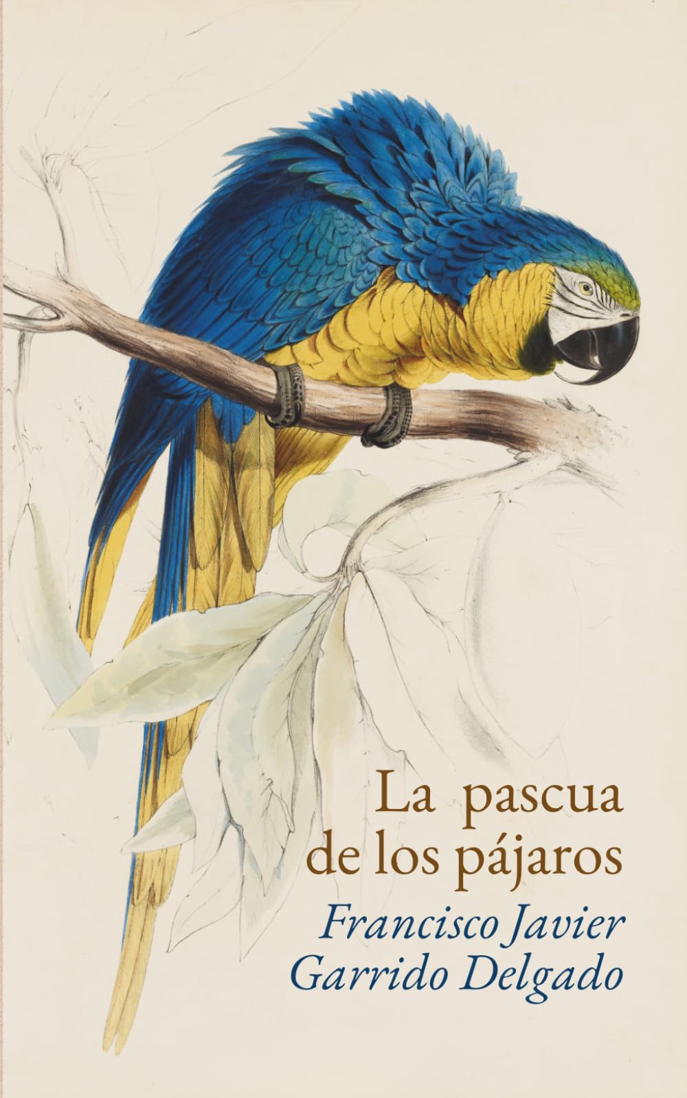 La pascua de los pájaros