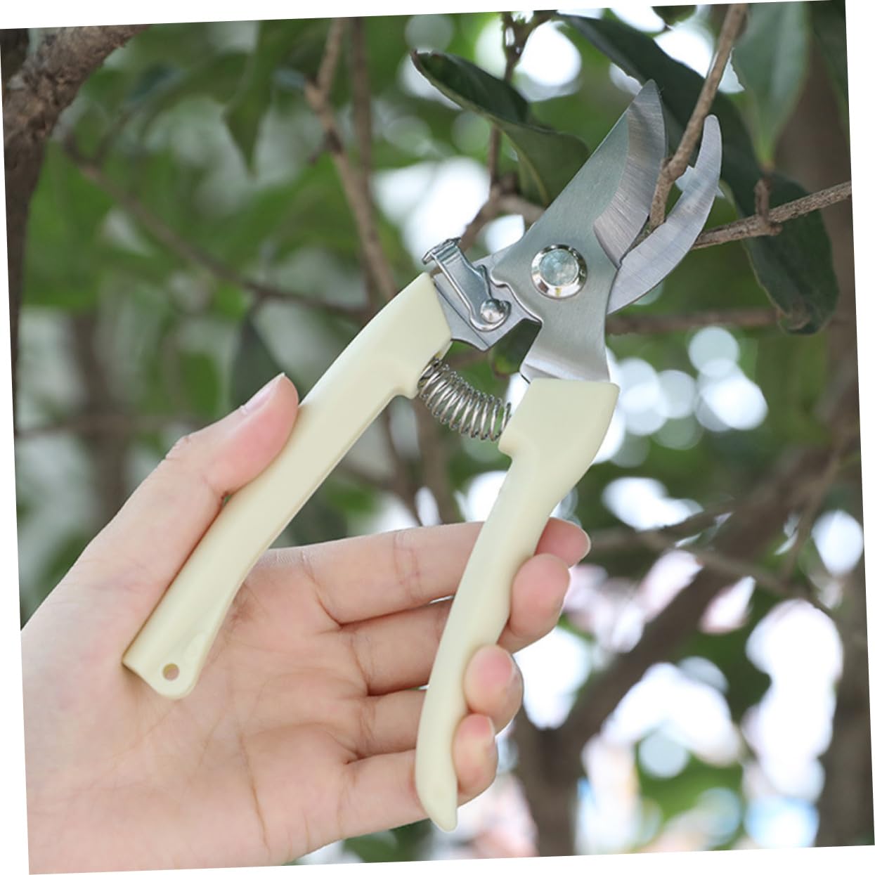 Abaodam 2 Sätze Gartenschere Handschneider Buschschere Pflanzenschneider Gartengeräte Zum Jäten Astschere Handscheren Für Die Gartenarbeit Astschneider Rostfreier Beige 2 Stück * 2