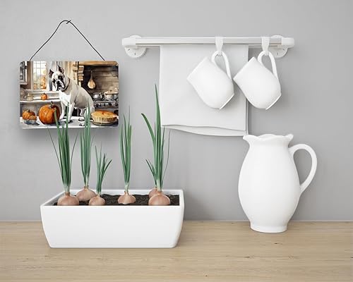 Miniatura 6 de Caroline's Treasures DAC1818DS812 Silky Terrier - Placa de aluminio para colgar en la pared o en la puerta, diseño de calabazas de cocina y baño, 8