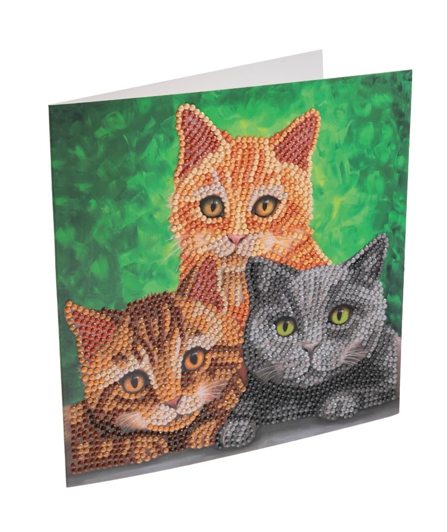 Craft Buddy Clear Crystal Art Cats 18X18cm Card