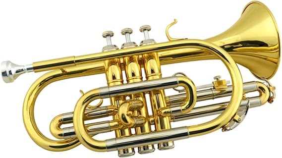 Cornet instrument trumpet B flat beginner adult professional performance