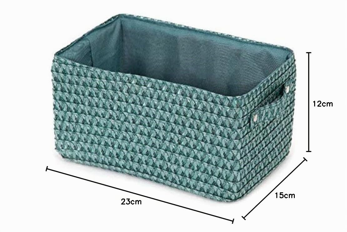Compactor Lilou Cestino Portaoggetti Con Manici, Tessuto In Polipropilene e Cartone, 23 x 15 x 12 cm, Verde, RAN9699