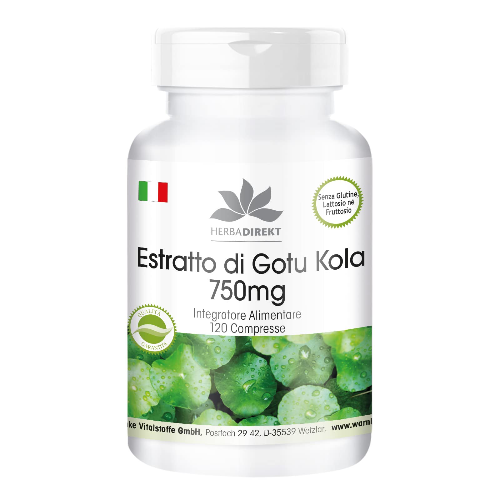 Gotu Kola 750mg - estratto ad alto dosaggio - vegan - 120 compresse - con zinco e vitamina C | HERBADIREKT by Warnke Vitalstoffe - Qualità da farmacia tedesca