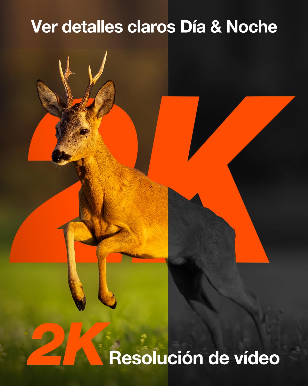 iZEEKER 4G LTE Cámara de Caza Solar, Cámara de Fototrampeo 2K PTZ con Tarjeta SD & SIM Vista Completa de 360° Transmisión en Vivo IR Sin Brillo Visión Nocturna Detección de Movimiento IP65 Impermeable