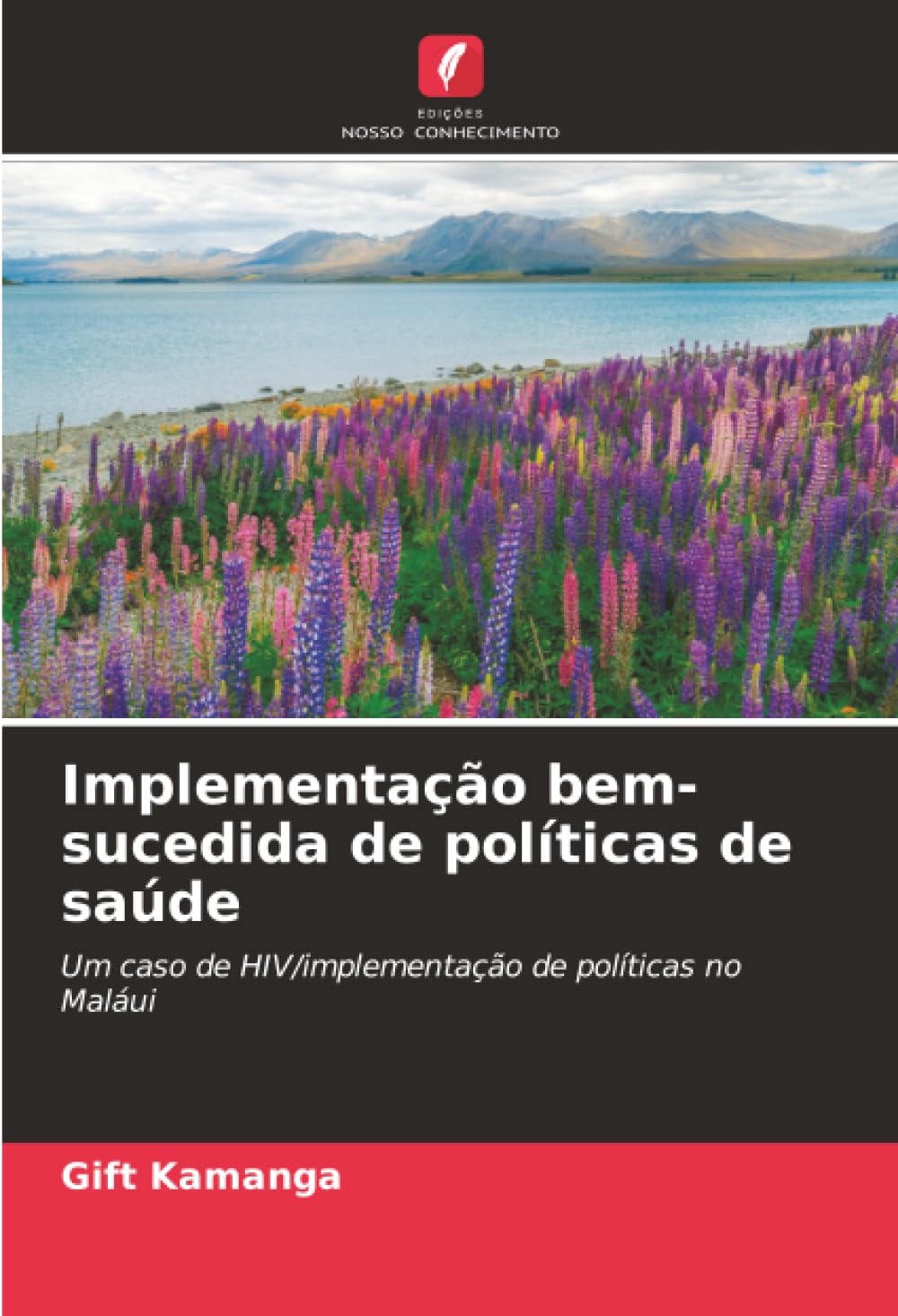 Implementação bem-sucedida de políticas de saúde: Um caso de HIV/implementação de políticas no Maláui