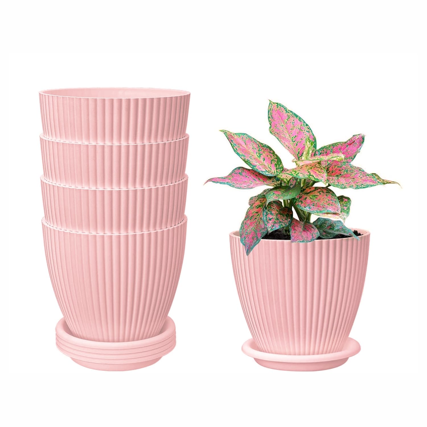 See full amazon price history chart for LISHONN Plastic Round Flower Pots for Home Planters, Terrace, Garden Etc | Pack of 05 | Baby Pink | Suitable for Home Indoor & Outdoor Gardening Plants LISHONN Plastic Round Flower Pots for Home Planters, Terrace, Garden Etc | Pack of 05 | Baby Pink | Suitable for Home Indoor & Outdoor Gardening Plants (B0BSNVFBKM) Amazon Price History, Amazon Price Tracker