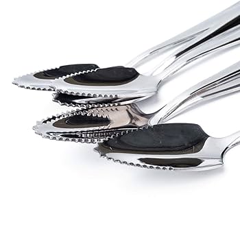 Amazon.co.jp: JUCOXO グレープフルーツスプーンセット 4点 6.1