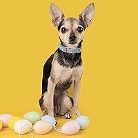 Vista 111 de Unique Style Paws - Collar rosa con hebilla de metal, duradero y lindo para perros pequeños a grandes