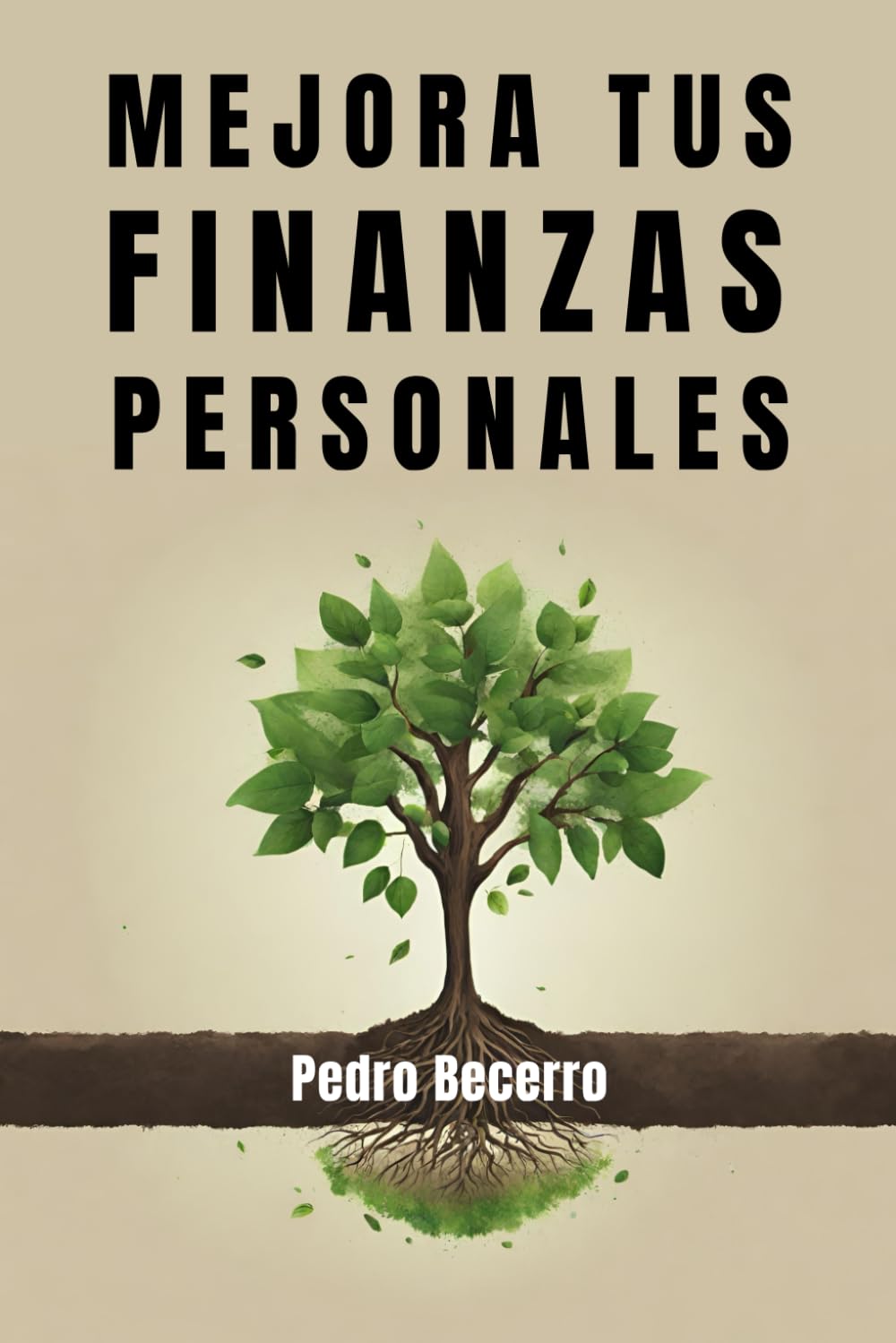 Mejora tus finanzas personales: Toma el control de tu dinero y gana en calidad de vida
