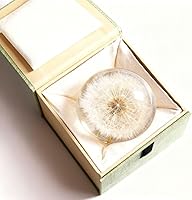 Vista 10 de DESHINTKE Bola de espécimen de diente de león real, pisapapeles, decoración de escritorio (pequeña)