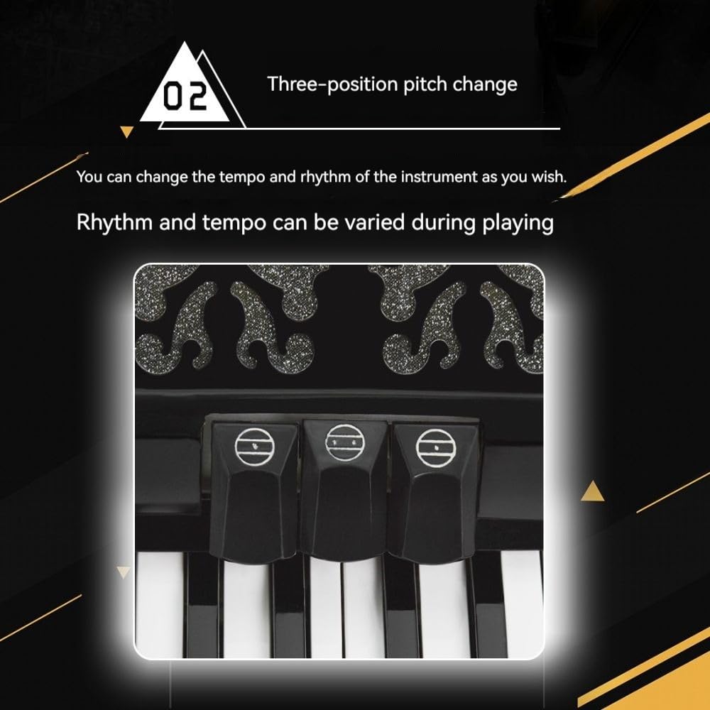 Fisarmonica a 26 tasti 48 bassi, corpo in ABS, vernice for pianoforte con superficie nera, interruttore audio, adatta a principianti e professionisti, borsa di stoccaggio inclusa e nastro for chitarra