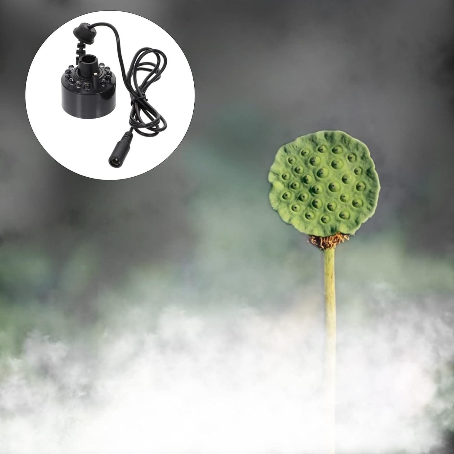 5pcs for and Accessory Tank Landscape Practical Air Rockery Mist Unique Small Mini Water Fog Fountain Atomizing Fish Generator Head Mister Fogger Party Led Lamp : Home & Kitchen