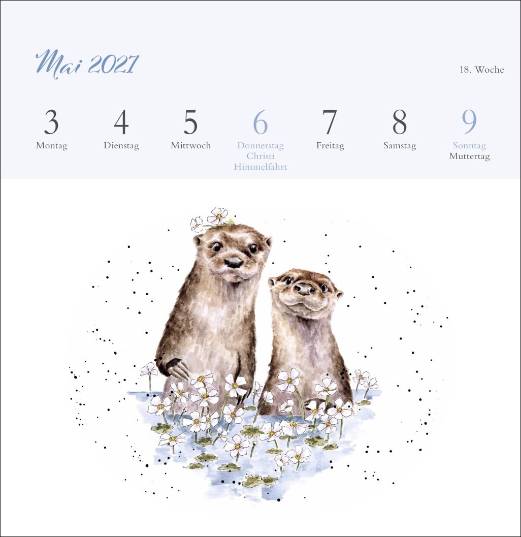 Hannah Dale: Happy Animals Premium-Postkartenkalender 2027: Die schönen Tierzeichnungen der britischen Künstlerin in einem kleinen Kalender zum Aufstellen. Wochenkalender mit 53 Postkarten