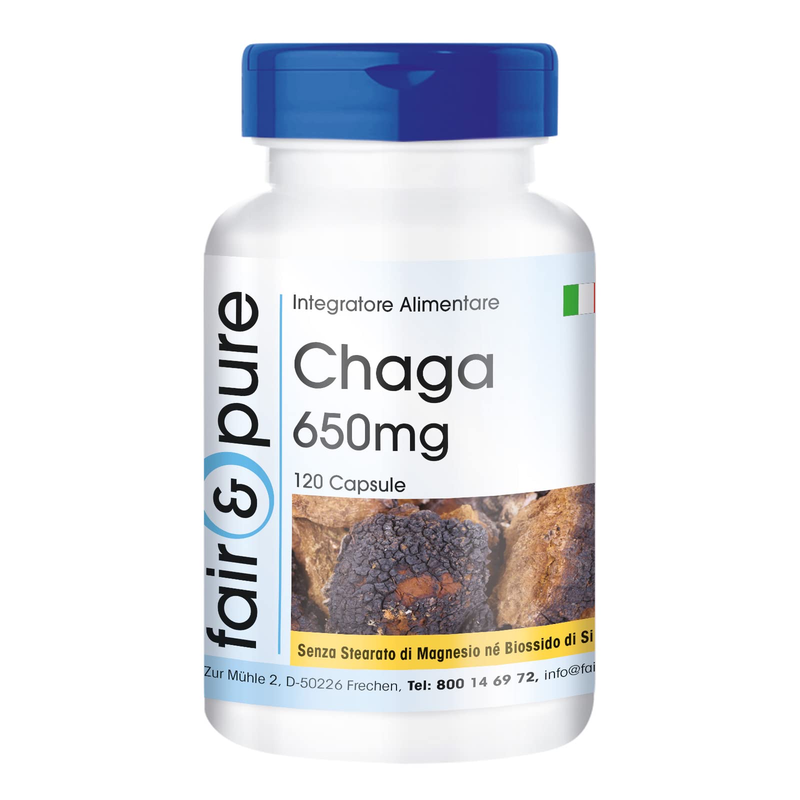 Fair & Pure® - Chaga 650mg - Capsule - Inonotus obliquus - Vegan - 120 Capsule