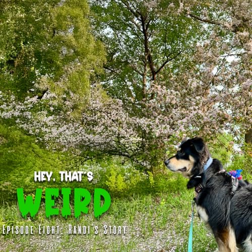 『Episode 8: Randi's Story』のカバーアート