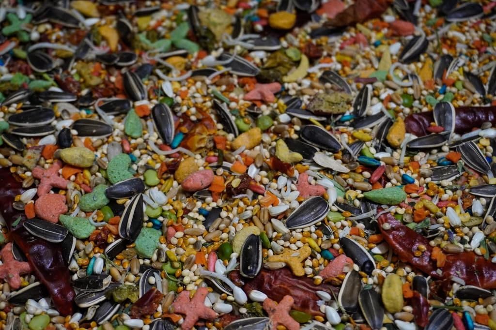 Generic Medium Parrot Mix, Hand-Mixed Ingredients (5lbs), 1 Count (Pack of 1)