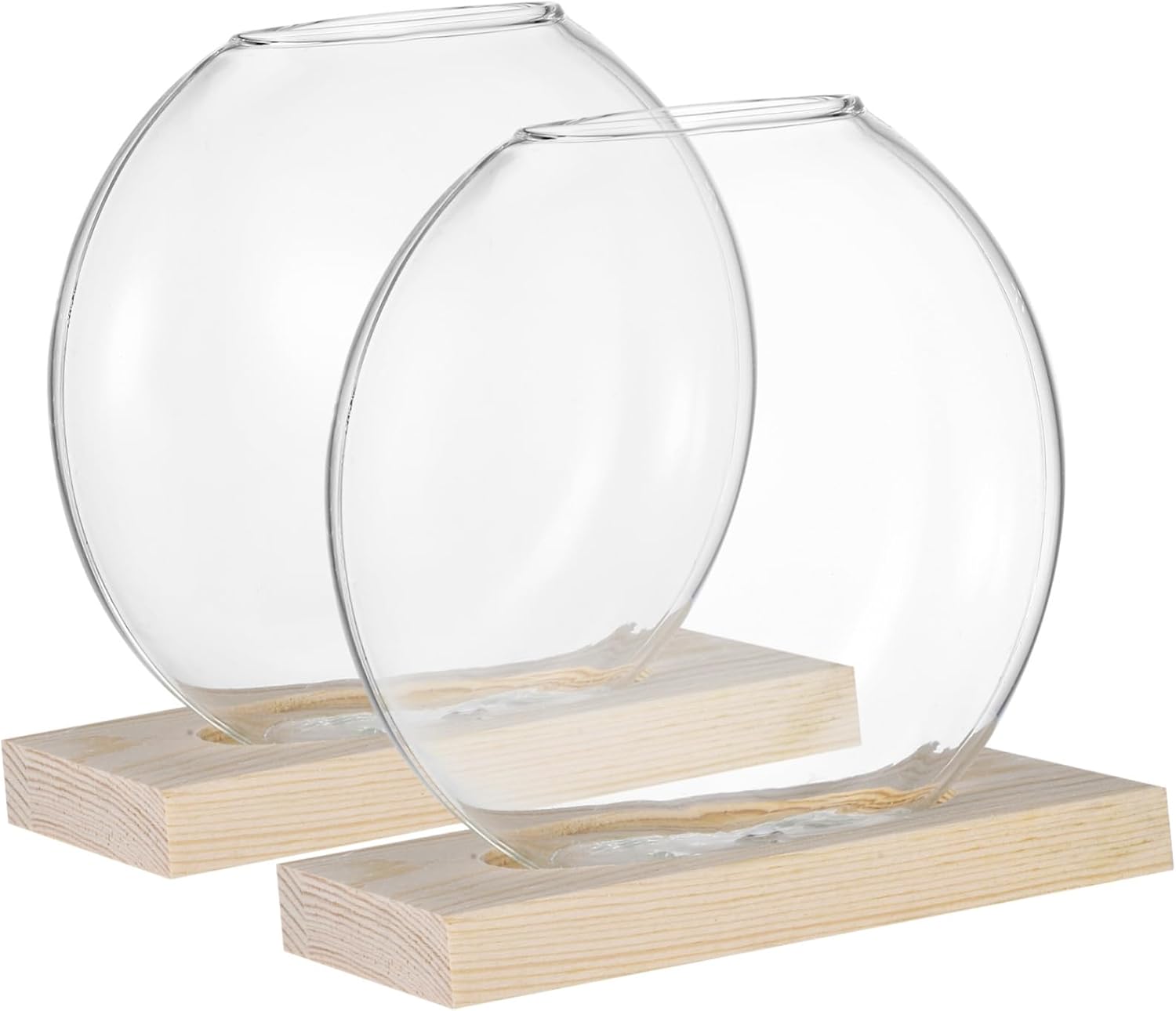 BESPORTBLE 4sets Nordic Style Hydroponic Plant with Stands for Decor Elegant Glass Propagation Holders for Indoor Plants for Displaying Greenery