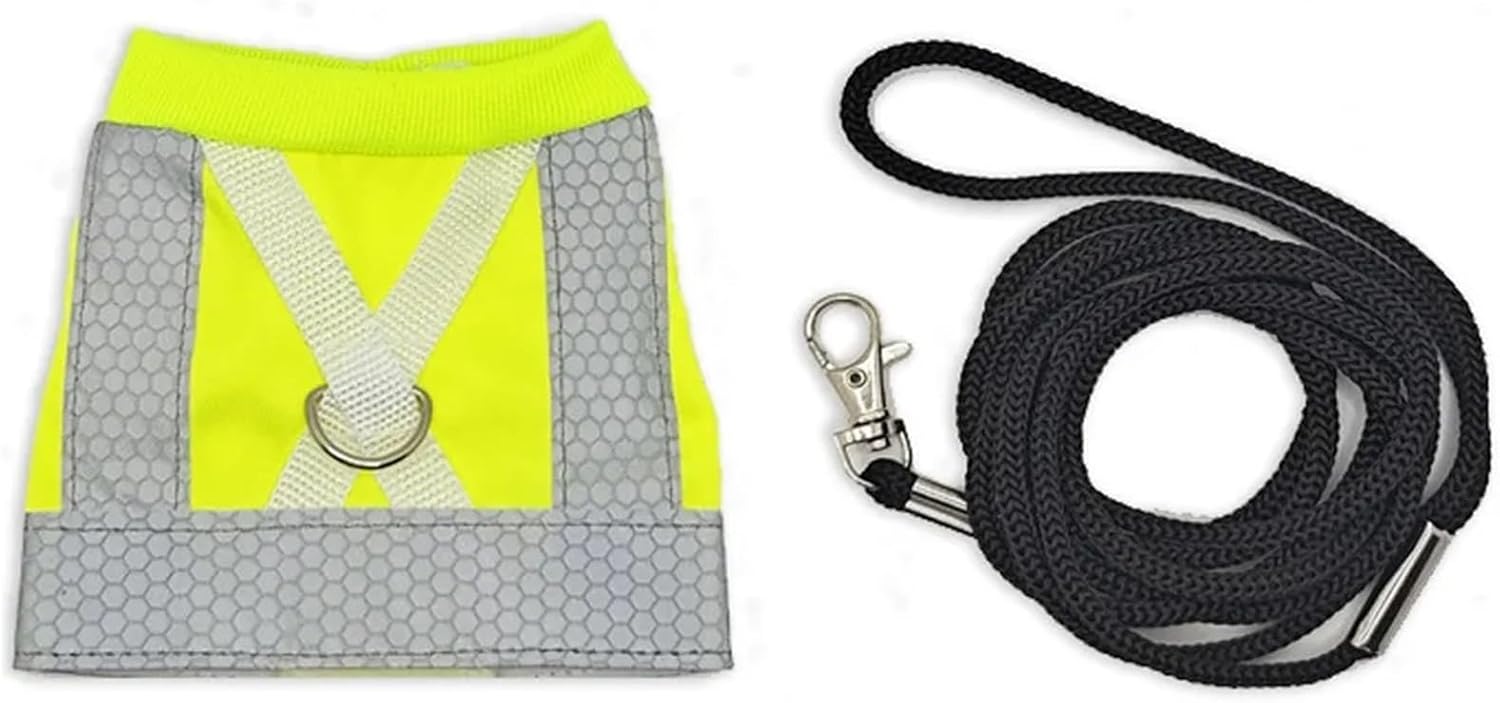 Bird Leash 5pcs Parrot Safety Harness - Adjustable, Reflective Leash & Sun Protection(Small)