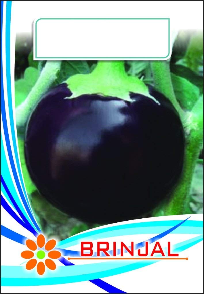 VIBEX® XII-148-Brinjal Round Desi (B0912RKVTZ) Amazon Price History, Amazon Price Tracker