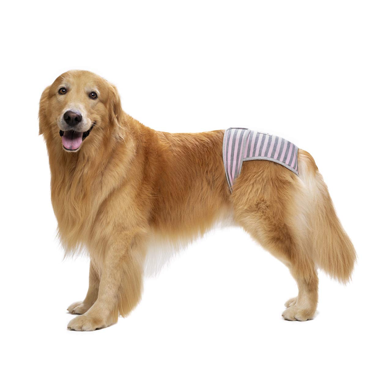 3 Pack Reusable Dog Diapers Female Large Medium Breed, Female Dog Diapers for Heat, Incontinence,Doggie Diapers for Female Dogs with Velcro Adjustable Waistline for Female Dog Washable Extra Large