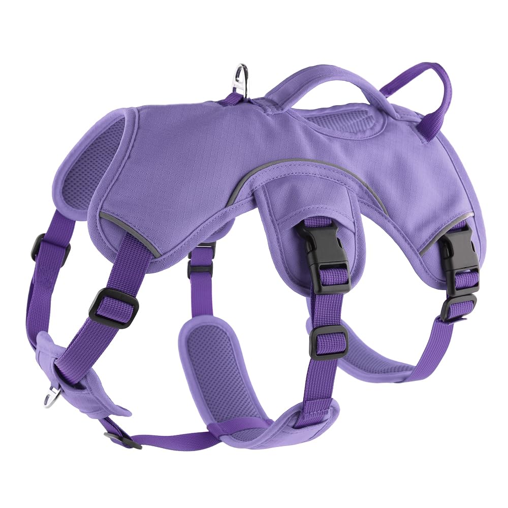 Snootiful Hound Sighthound Harness for Greyhounds, Whippets & Lurchers – Escape Proof Padded 3-Point Dog Harness - Secure Fit, No Pull Harness For Deep-Chested Breeds (Purple, Medium)