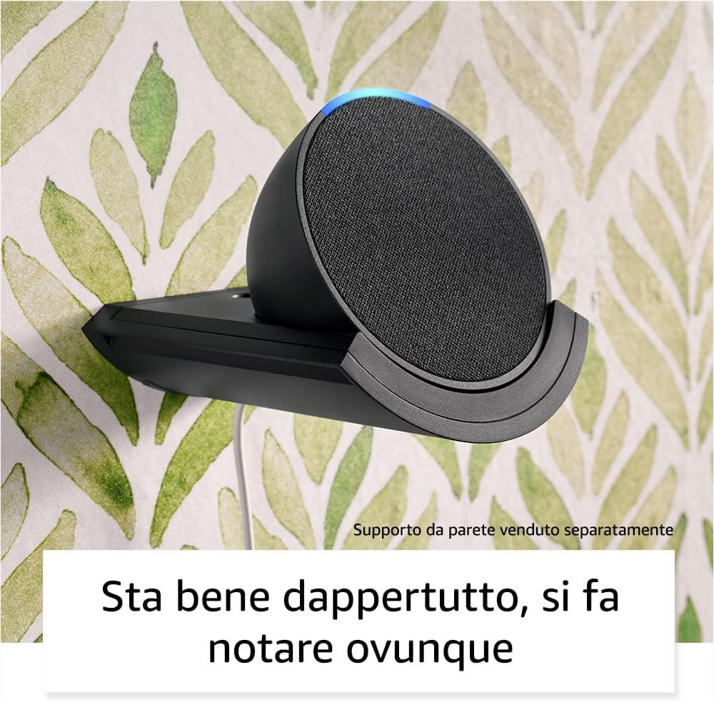 Echo Pop | Antracite, 2 pezzi + Sengled Smart Plug, compatibile con Alexa - Kit di base per Casa Intelligente
