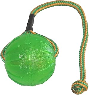 StarMark Everlasting Fun Ball on a cuerda perro juguete, M/ L, Verdes