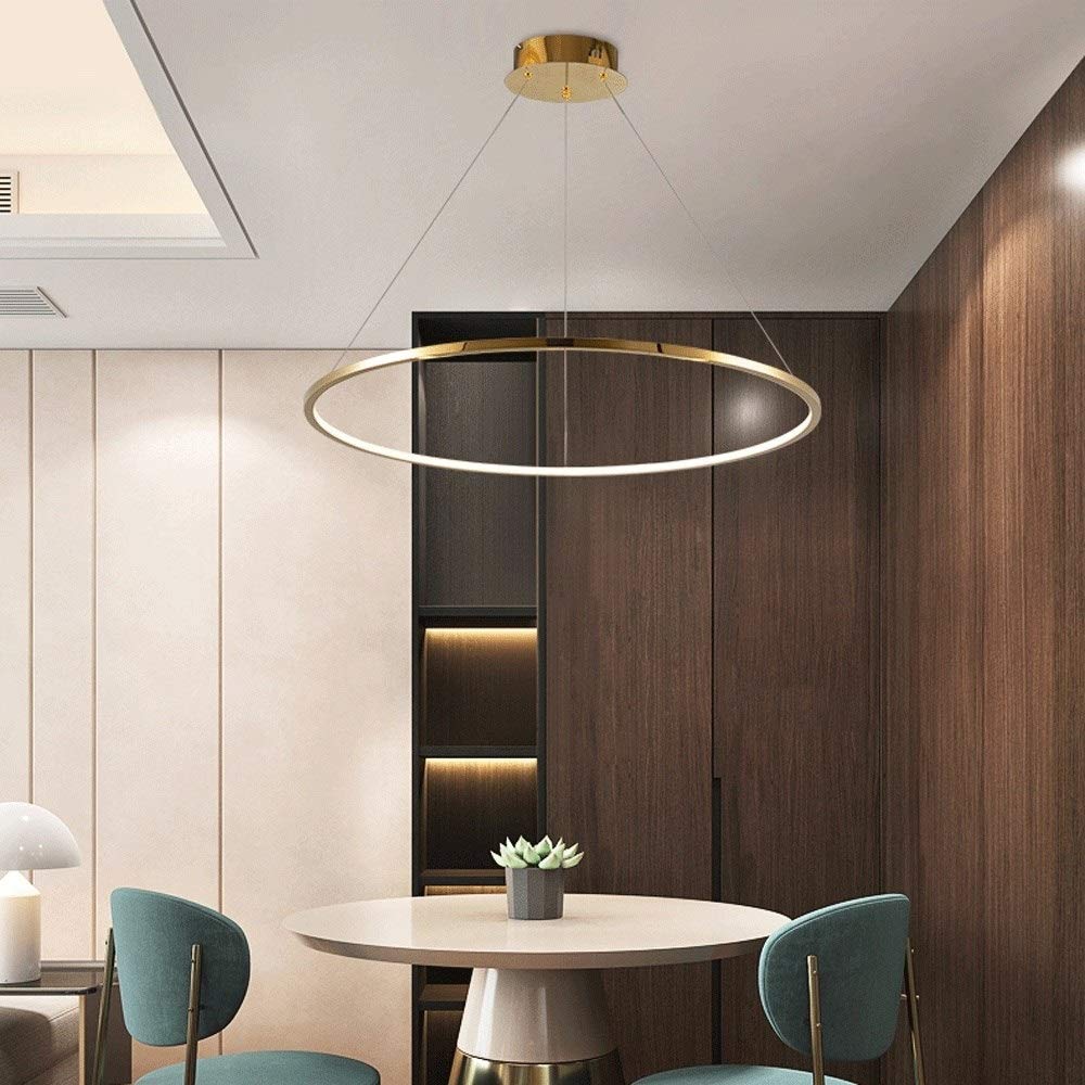 Plafond décoratif en acier inoxydable de luxe pour éclairage moderne - 5