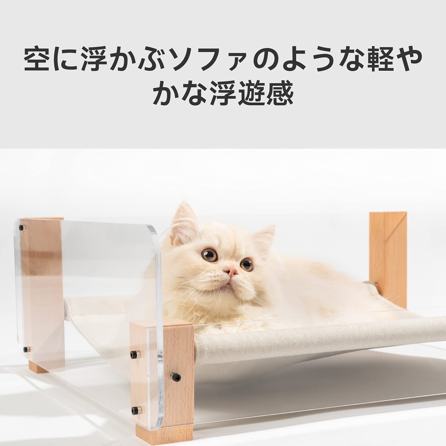 pidan 猫ベッド Amazon.co.jp: pidan 猫 ベッド ペットベッド レクタングル 洗える