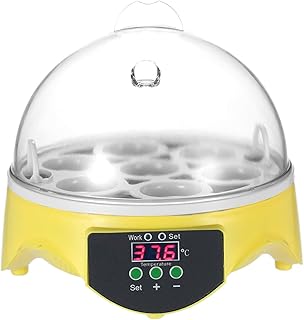 Homesen Ovos Mini Incubadora Digital Incubadora de Ovos Transparente Máquina de Incubação Controle Automático de Temperatura para Galinha Pato Pássaro Ovos AC110V