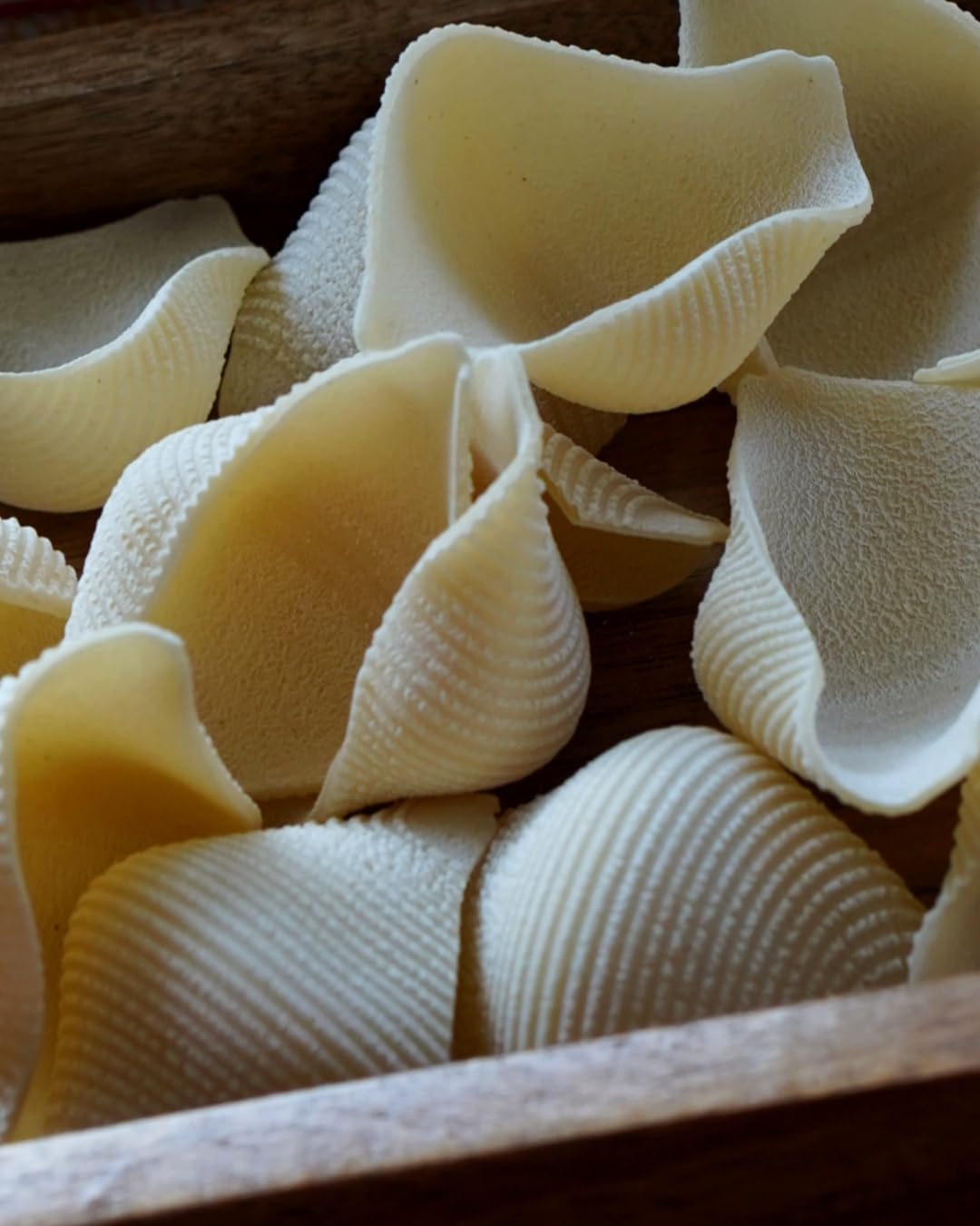 Pastificio Gioia – Conchiglioni – Nudeln Handgemachte Pasta Hartweizengrieß 500g – Italienische Spezialitäten Lebensmittel Feinkost Delicatessen – Kalabrische Spezialität