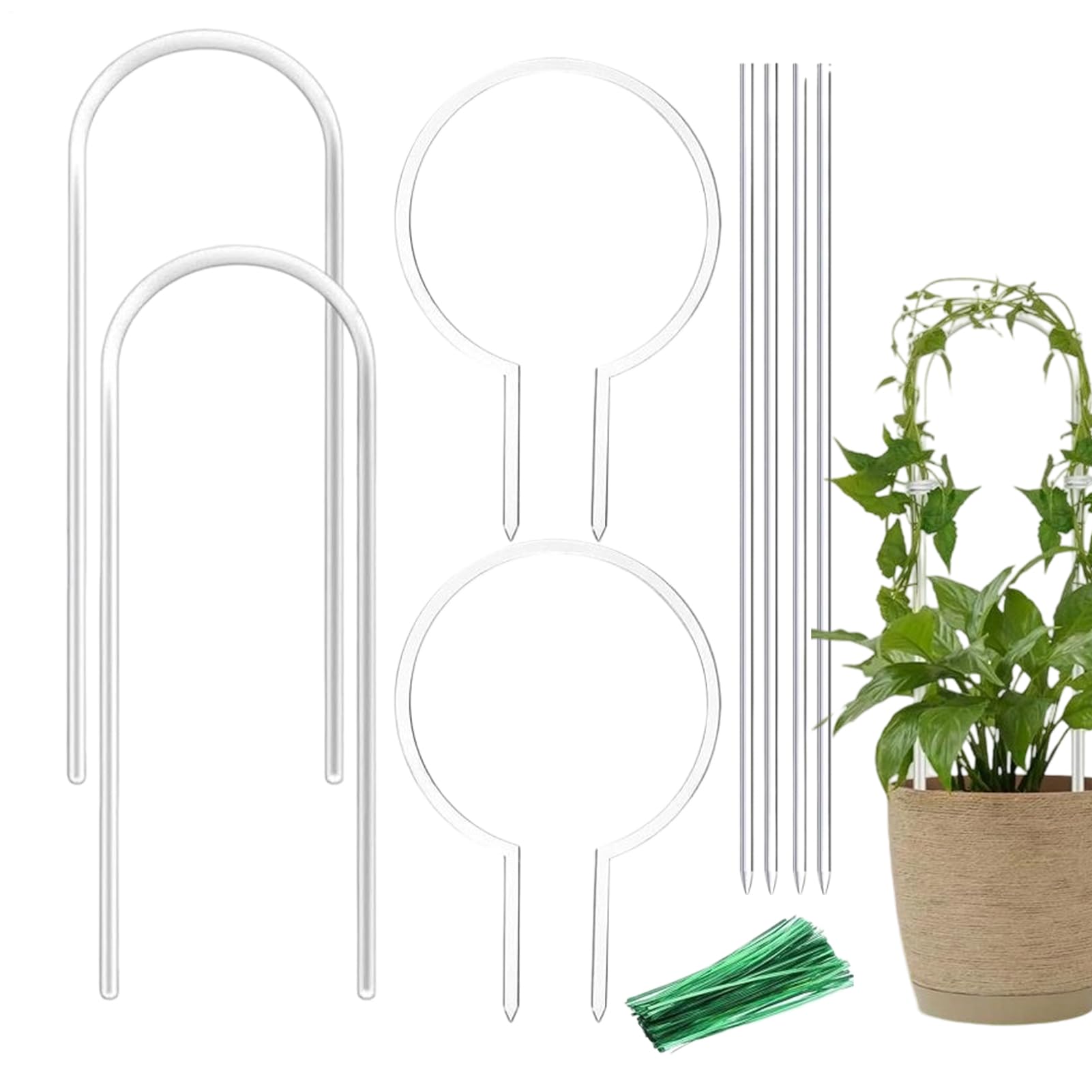 Petit treillis pour plantes vertes avec support de cage transparent en U