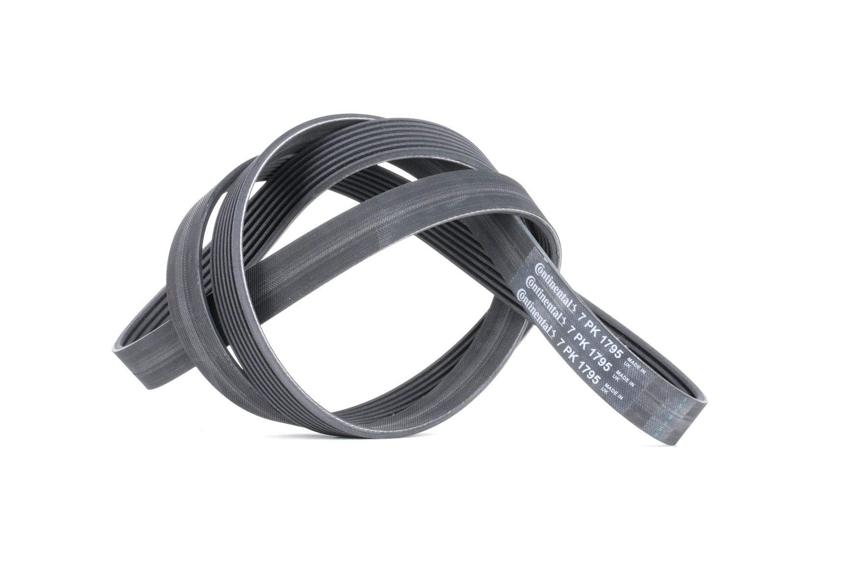 Contitech 7PK1795 V-Ribbed Belt