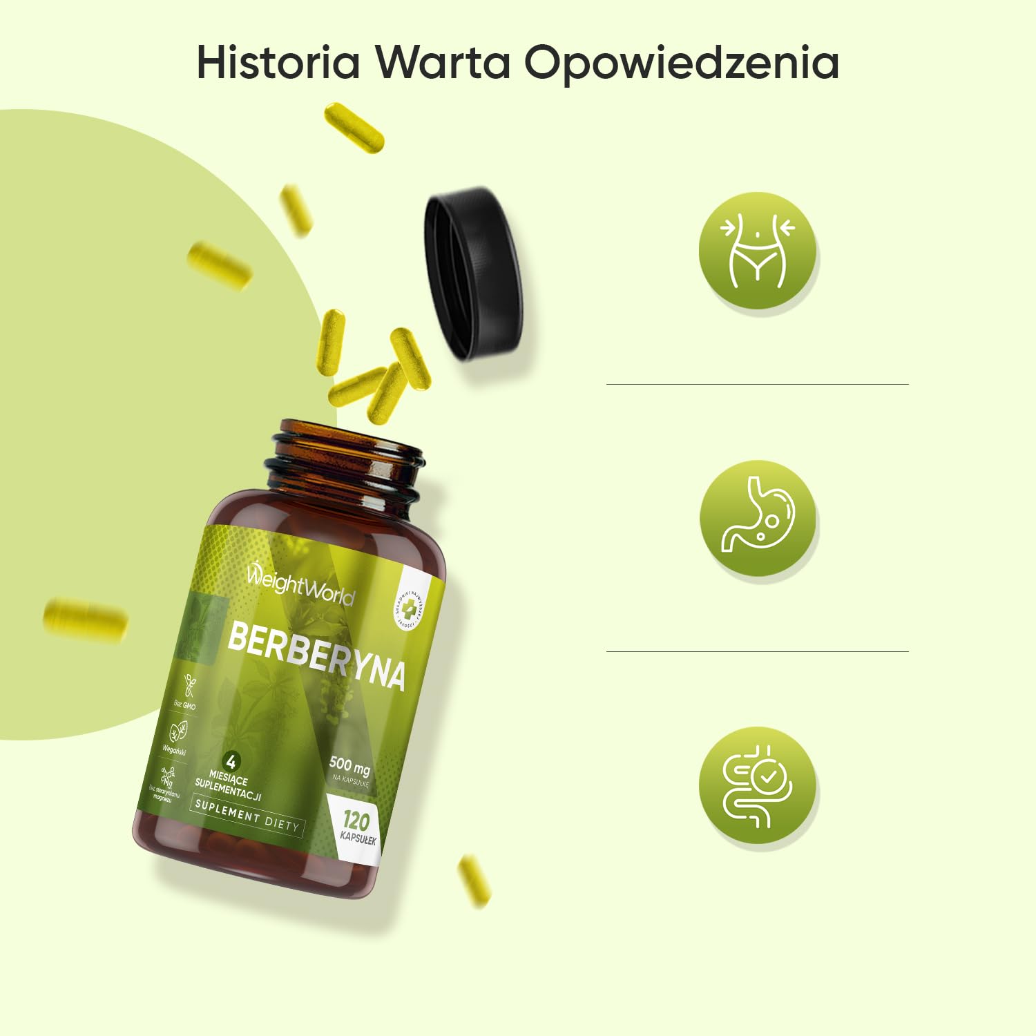 Berberyna 500 mg, opakowanie 120 kapsułek, zaopatrzenie na 4 miesiące – suplement berberyny odpowiedni dla wegan, bez alergenów, bezglutenowy oraz bez GMO, tylko raz dziennie