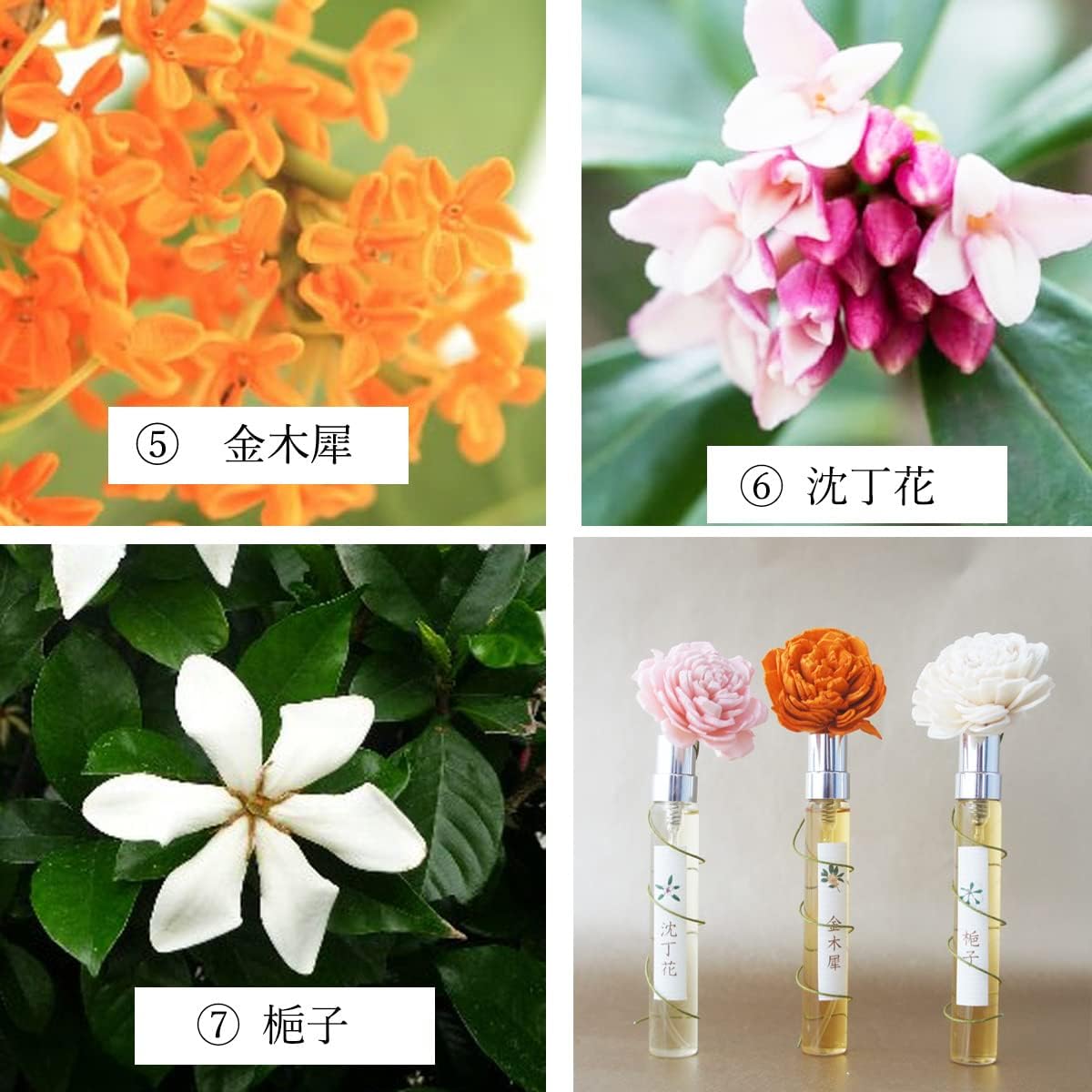 Amazon リアル花ノ香 ３大香木シリーズ10ml ３本セット 金木犀 沈丁花 梔子 Sukinahi 香水 フレグランス 通販