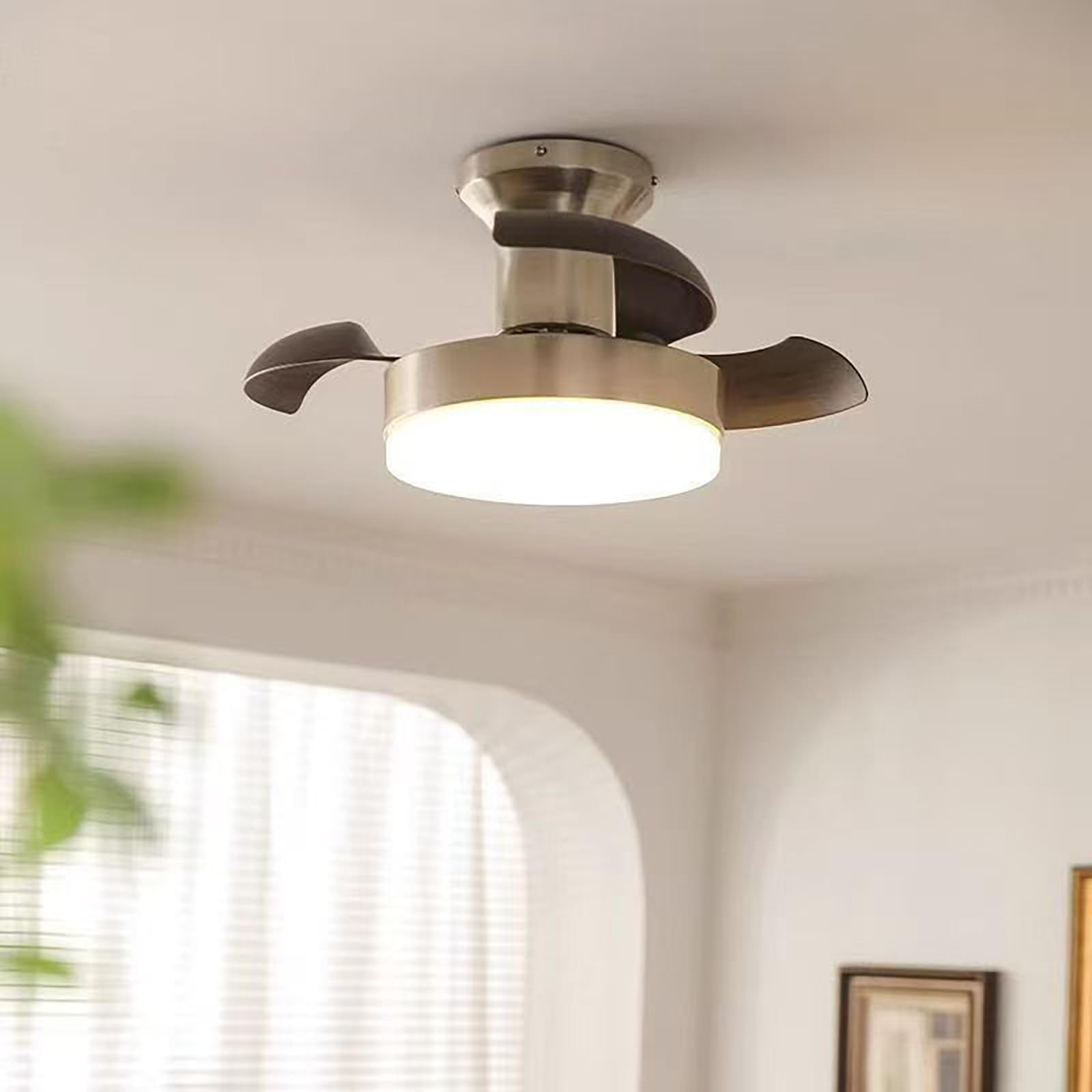 Ventilateur de plafond petit modèle 52cm avec éclairage LED variable
