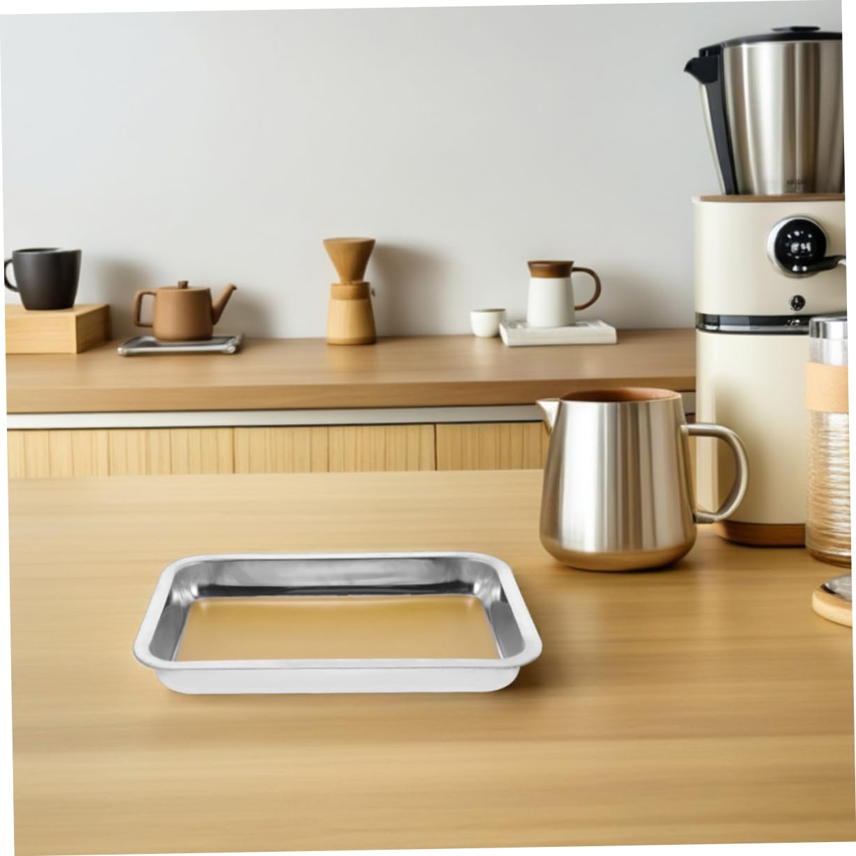 ABOOFAN 2 pezzi Vassoio da Dissezione Inox Strumento Professionale per Esperimenti Biologici per Scuole e Istituti Ricerca Facile da e Resistente Schizzi