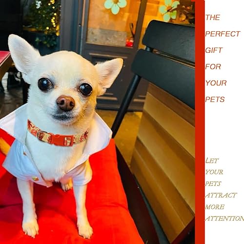 Miniatura 3 de Collar de otoño para perros pequeños, paquete de 2 collares de perro de Acción de Gracias con patrón de arce y flores, ajustable y suave de llevar,