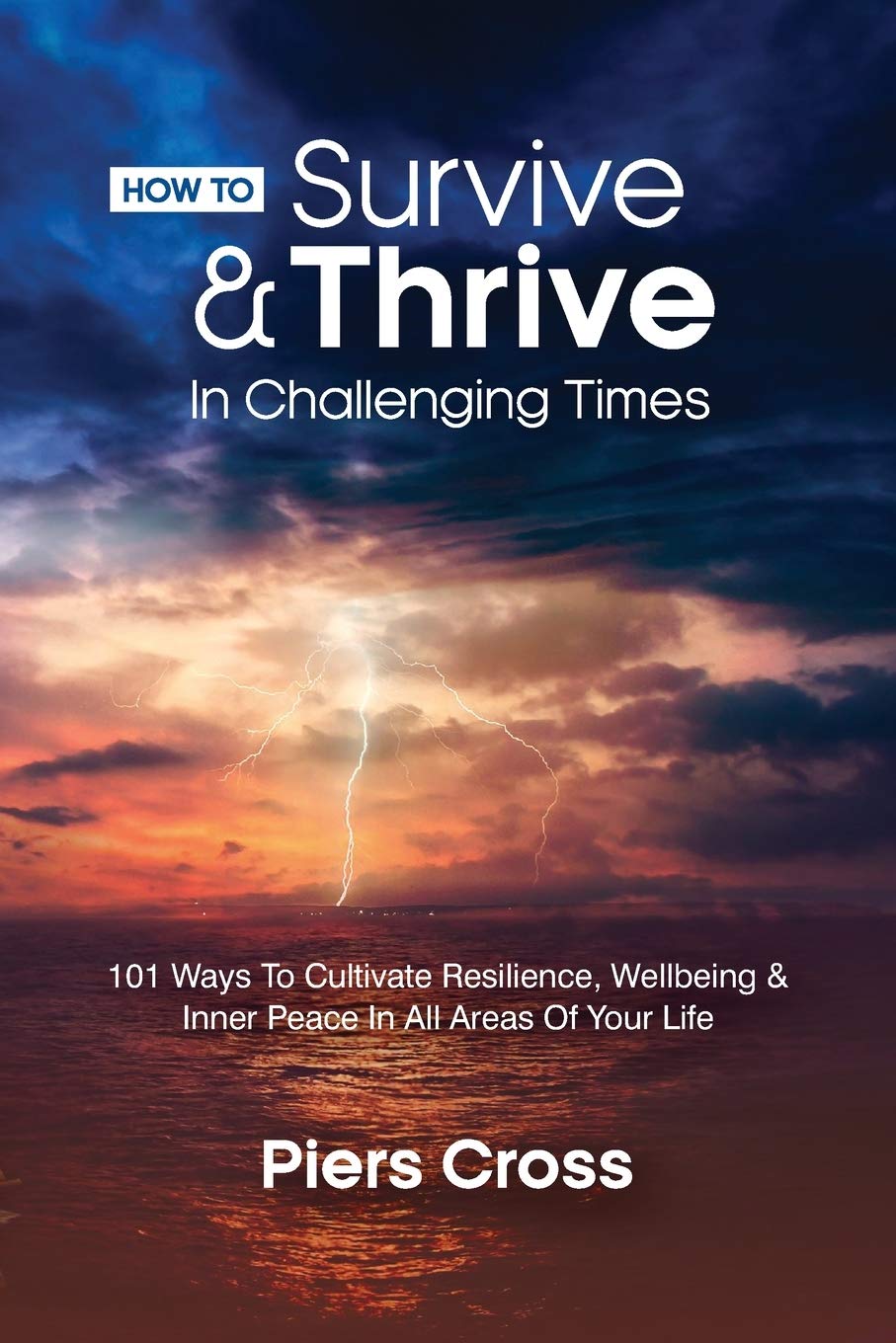 How To Survive & Thrive In Challenging Times: 101 Ways To Cultivate Resilience, Well-being and Inner Peace In All Areas of Your Life
