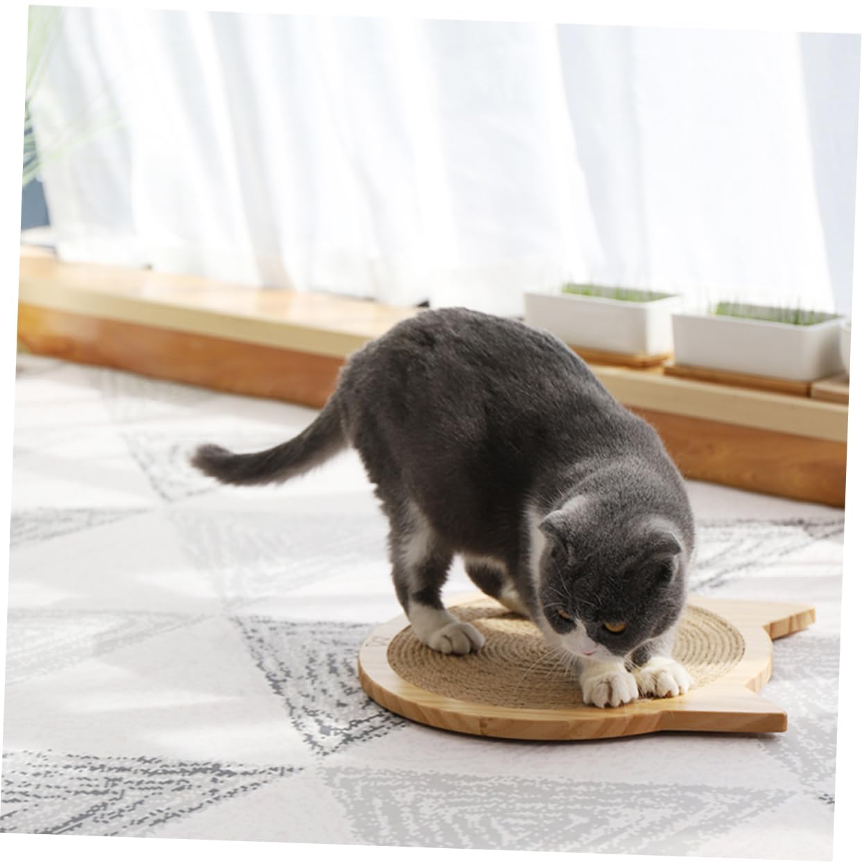Vertikales Katzenkratzbrett Sisalbrett Kratzspielzeug für Katzen Robustes Material Katzenzubehör