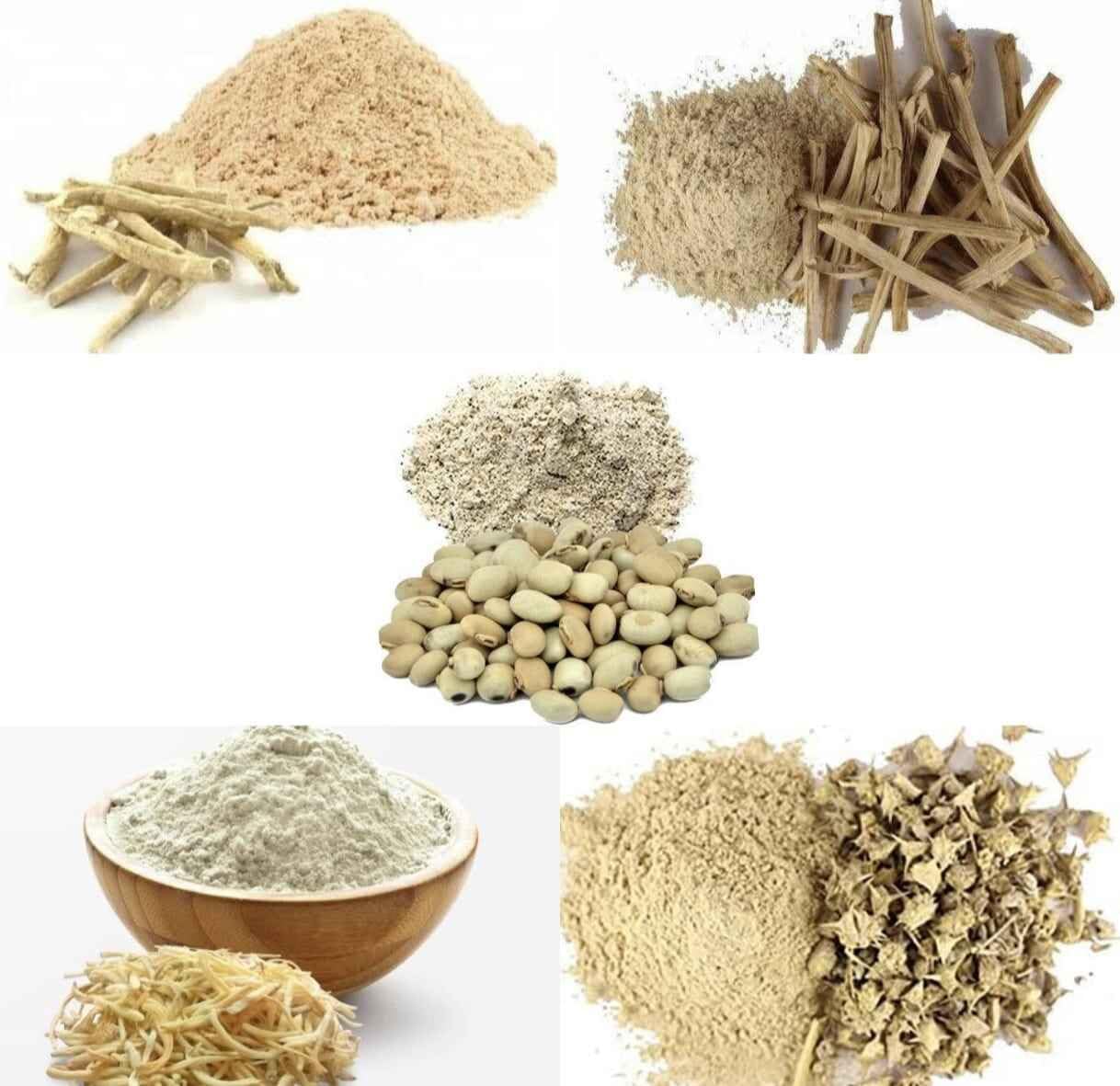 Ayurvedic Zone Ashwagnadha, Shatavari, Safed Musli, Kaunch Beej, Gokhru Powder Combo 250 gm(50 gm each) JadiBooti Powder