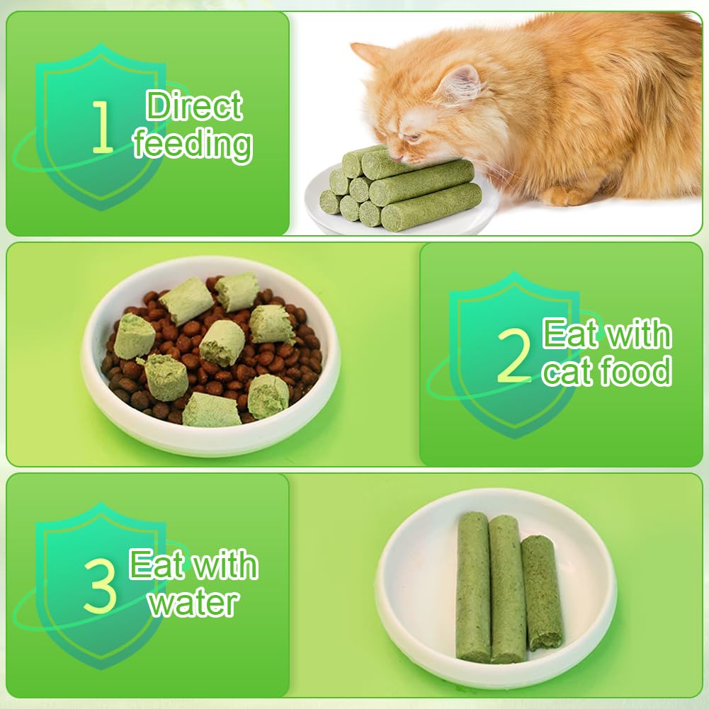 OSDUE Cat Grass Teething Stick, 24Pcs Dental Chew Sticks for Cats Natural Cat Grass Sticks Molar Rod - Image 4